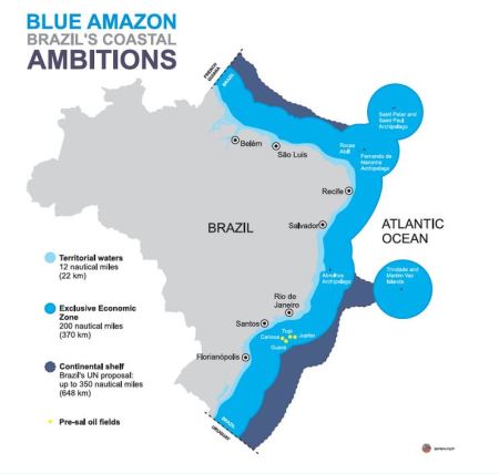 blue amazon